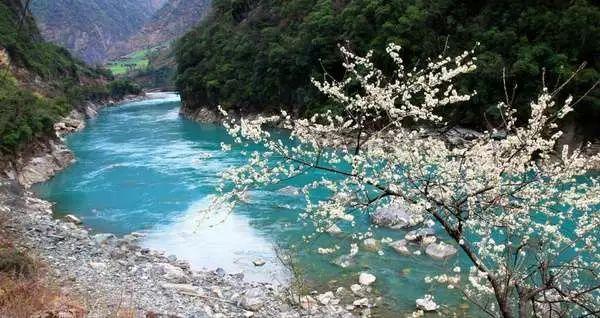 小兔子大冒险